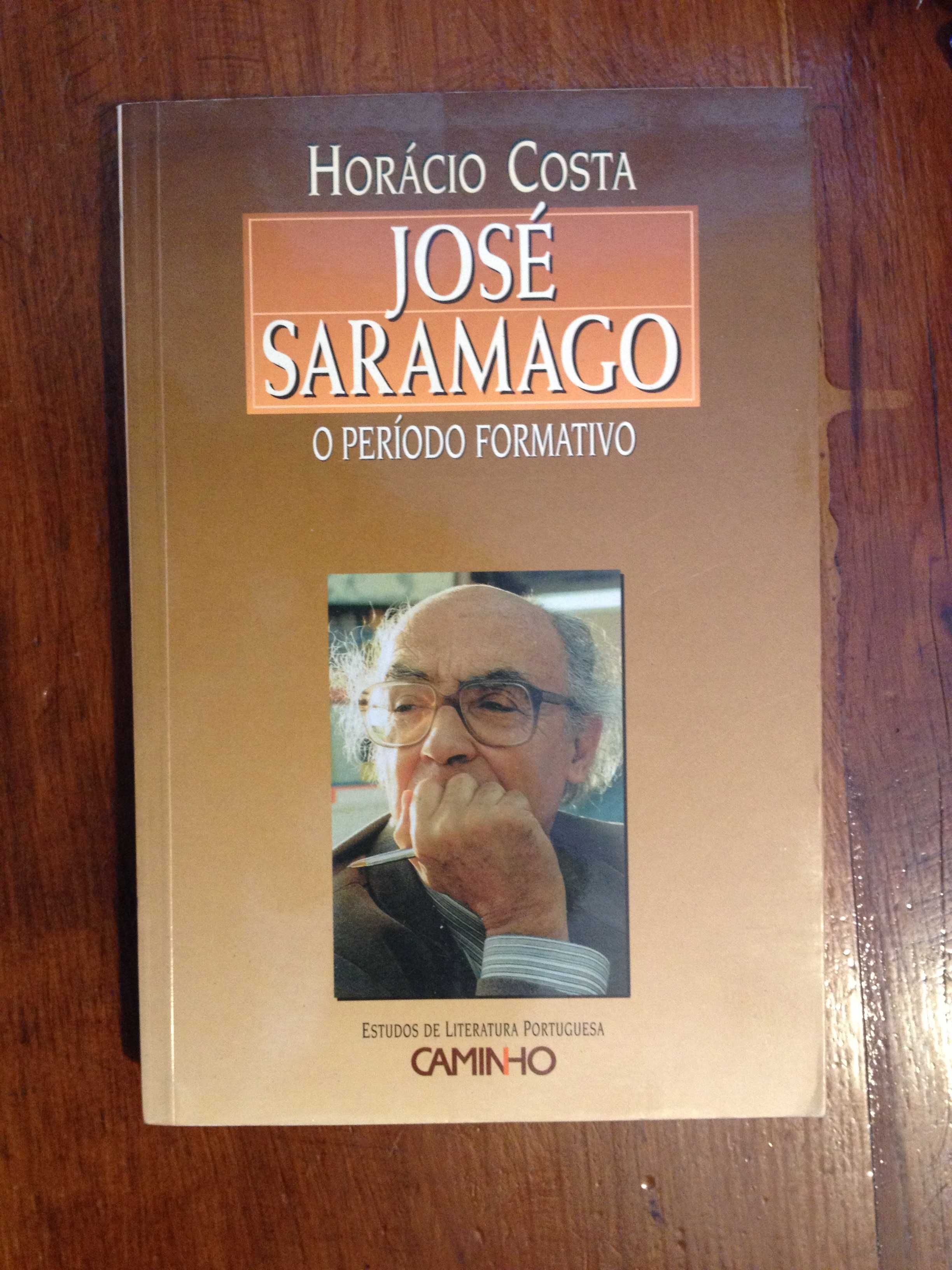 Horácio Costa - José Saramago, o período formativo