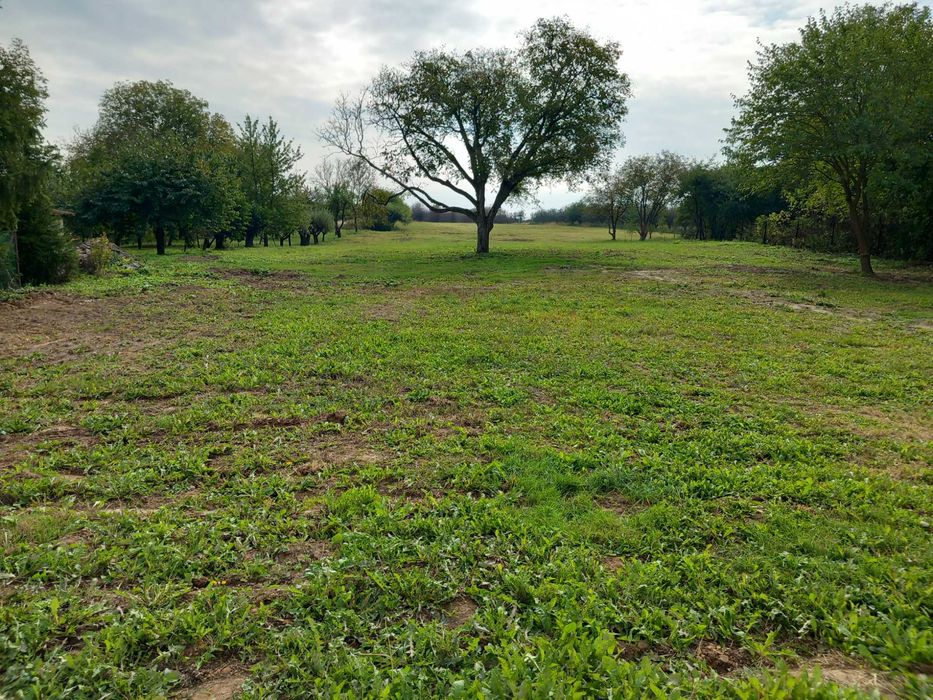 Sprzedam działkę zabudowa zagrodowa 55 ARÓW
