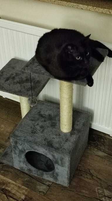 Drapak szary słupek do drapania domek drzewko legowisko dla kota