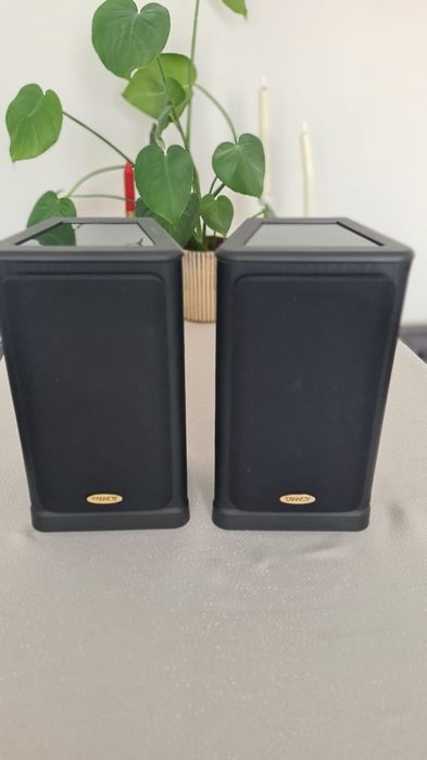 Tannoy Profile 631 - kolumny głośnikowe.