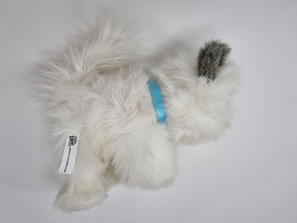 Interaktywny kot cobi little live pets