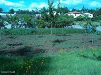 Terreno  para venda
