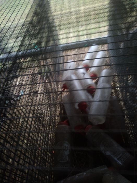 Poidło  Butelkowe do Wody ze Smoczkiem dla Gryzoni 600 ml