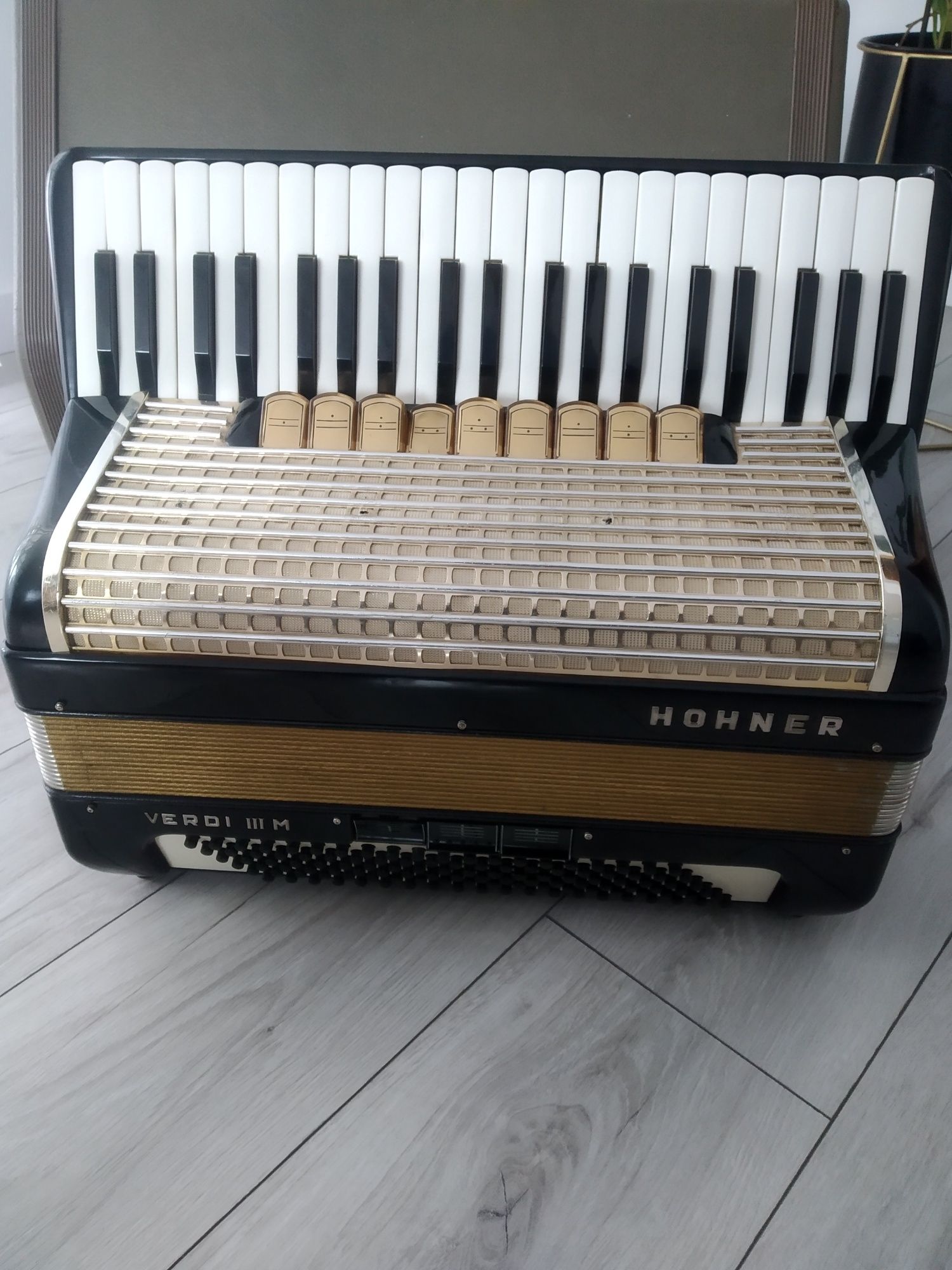 Akordeon hohner Verdi III M 120 basów.