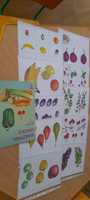 Karty do dekoracji - owoce i warzywa