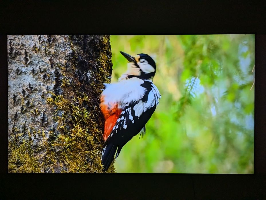 Samsung SMART TV 55" 2022 року 4K ue55au7100