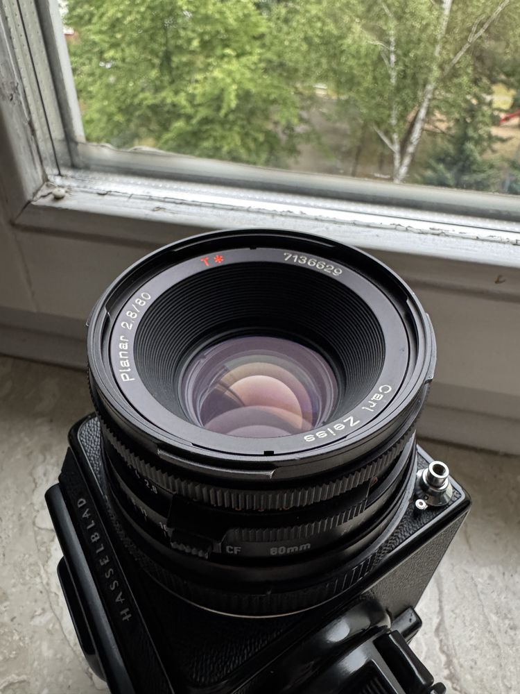 Hasselblad 500 C/M + Planar 80/2.8 CF Acute Matte + extension tube 16