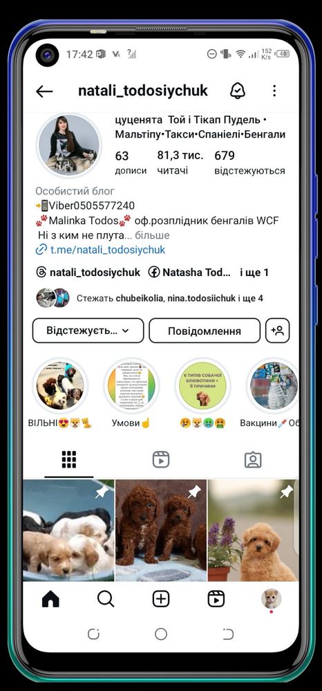 Є хлопчики і дівчатка мальтіпу
