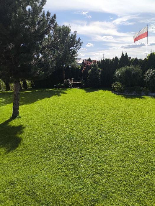 Usługi ogrodnicze glebogryzarka separacyjna nawadnianie zak.trawników