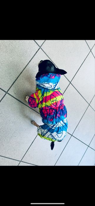 Комбинезон куртка жилет кофта платье одежда  для собак pet fashion