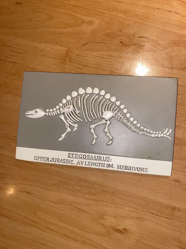 Ciężki odlew z gipsu Stegosaurus