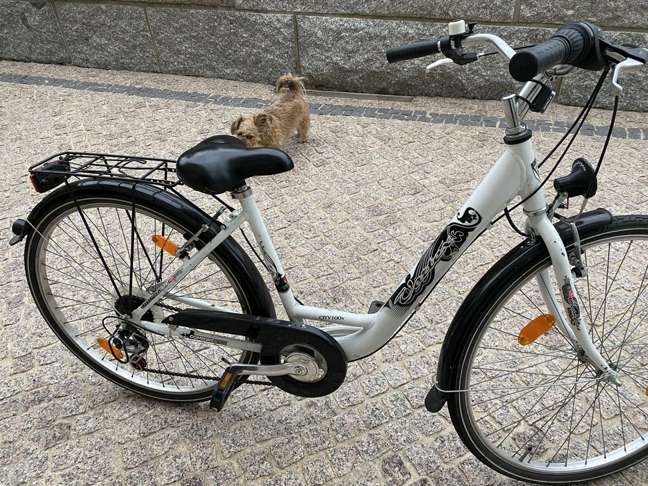 Bicicleta  Alemá unisexo