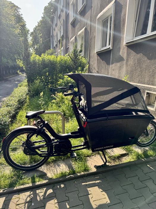 Urban Arrow Family rower cargo