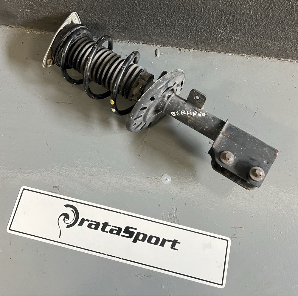 Suspenssao Amortecedor Citroen Peugeot