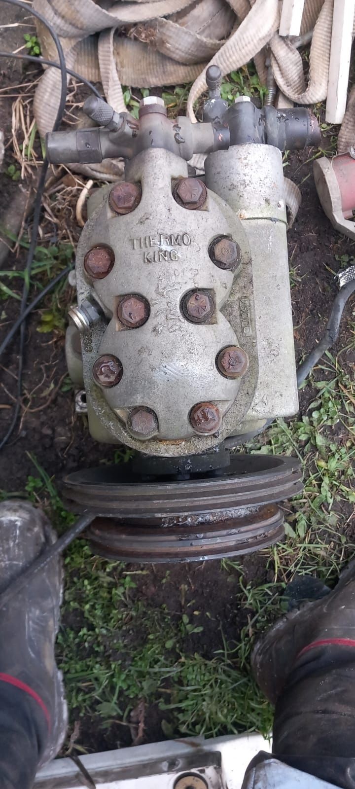 Sprężarka thermo King