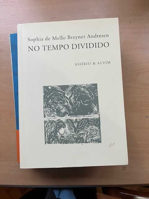 No Tempo Dividido