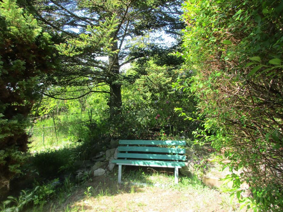 Dzialka ROD Gdańsk Morena ul Wołkowyska 21