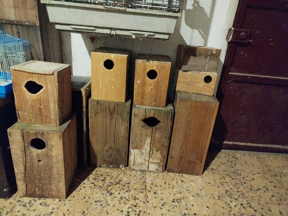 Ninhos de madeira