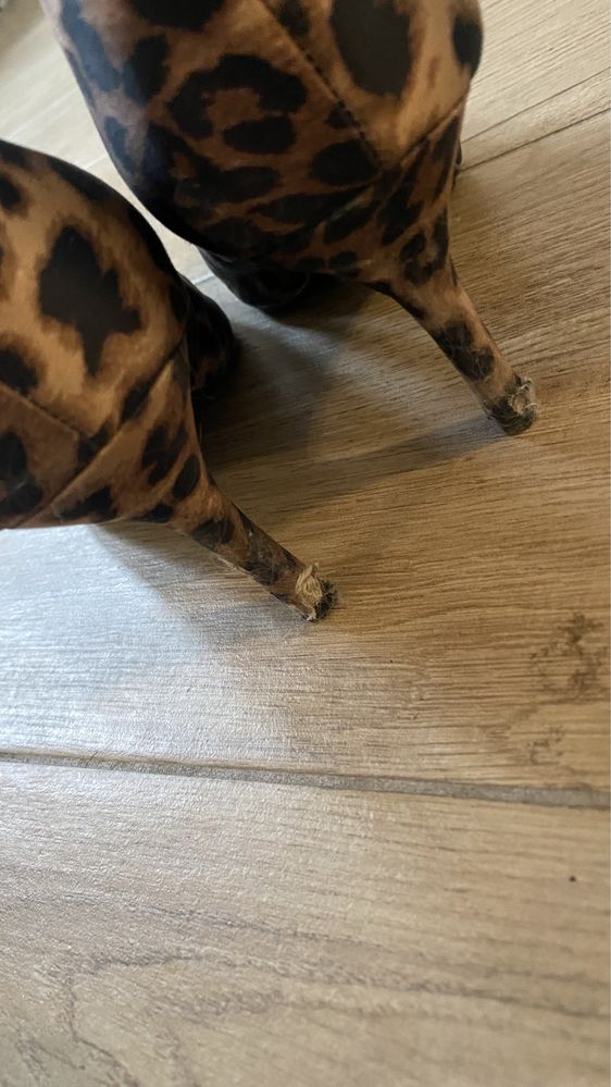Buty na obcasie w panterkę H&M