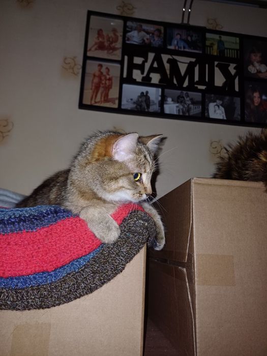 Ніжна Люсі - любов з першого погляду!!