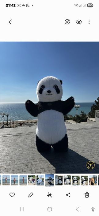 Панда купить пневмокостюм медведя, мишка панда  аниматор купить