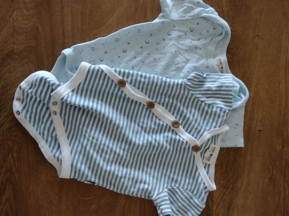 2x body Rabbit and bear