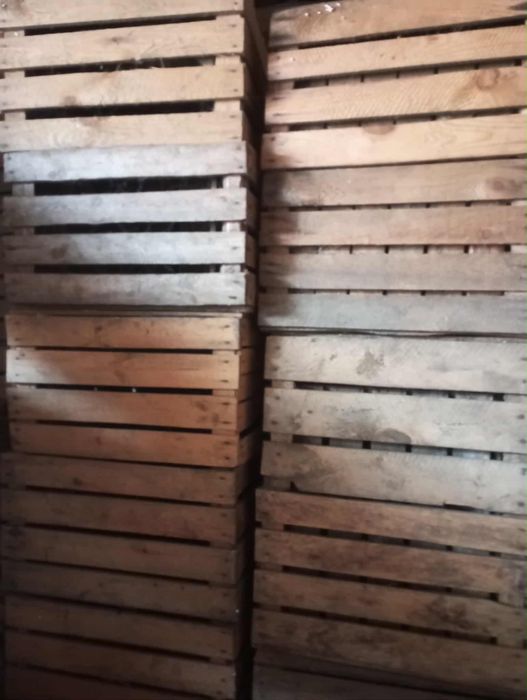 Skrzynki jedynki drewniane