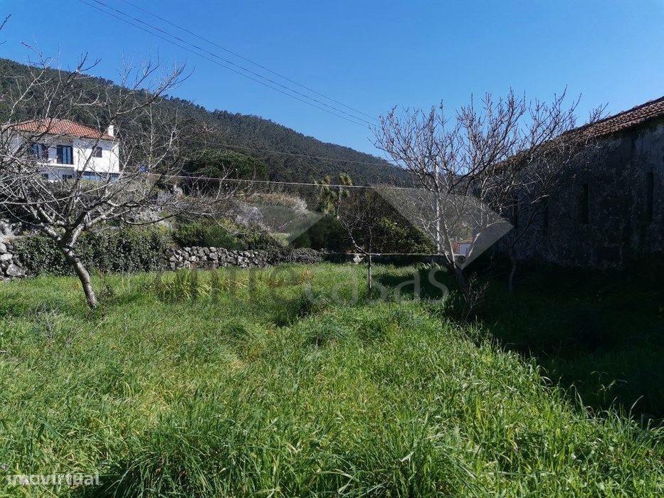Terreno