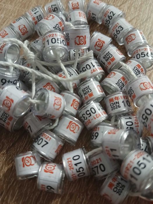 Obrączki dla gołębi pocztowych 2026