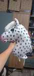 Hobby horse tarant