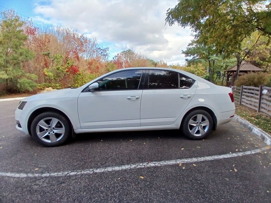 Шкода Октавия  2019г. А7  1.6л