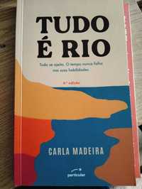 Livro Tudo é rio