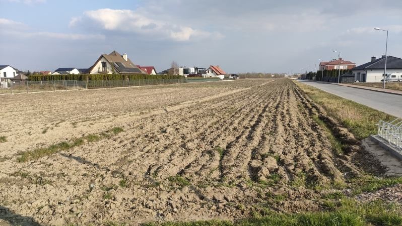 Działka do wynajęcia Zgorzała