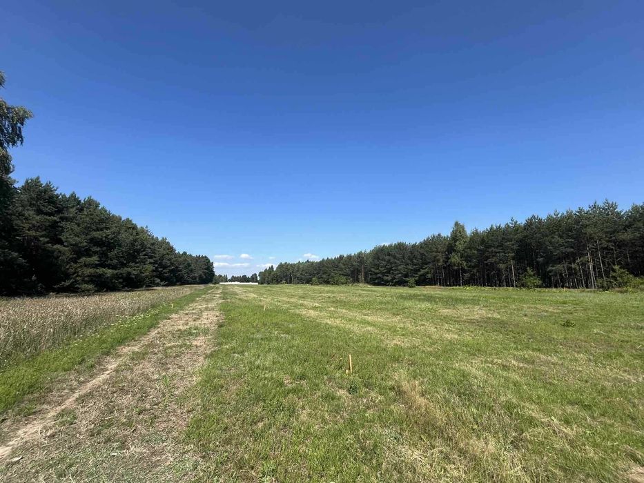 Działki budowlane ZALESNA (Gmina Bełchatów)