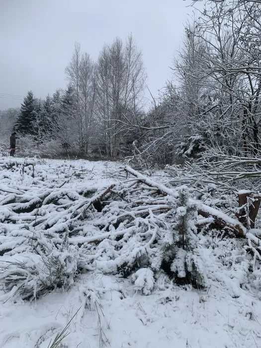 Karczowanie działek, wycinka drzew, czyszczenie pod budowę, sprzedaż