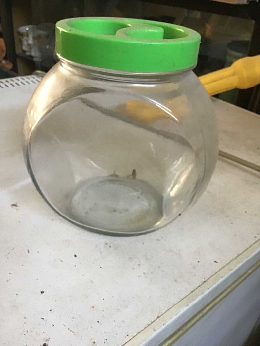 boiao transparente com tampa verde