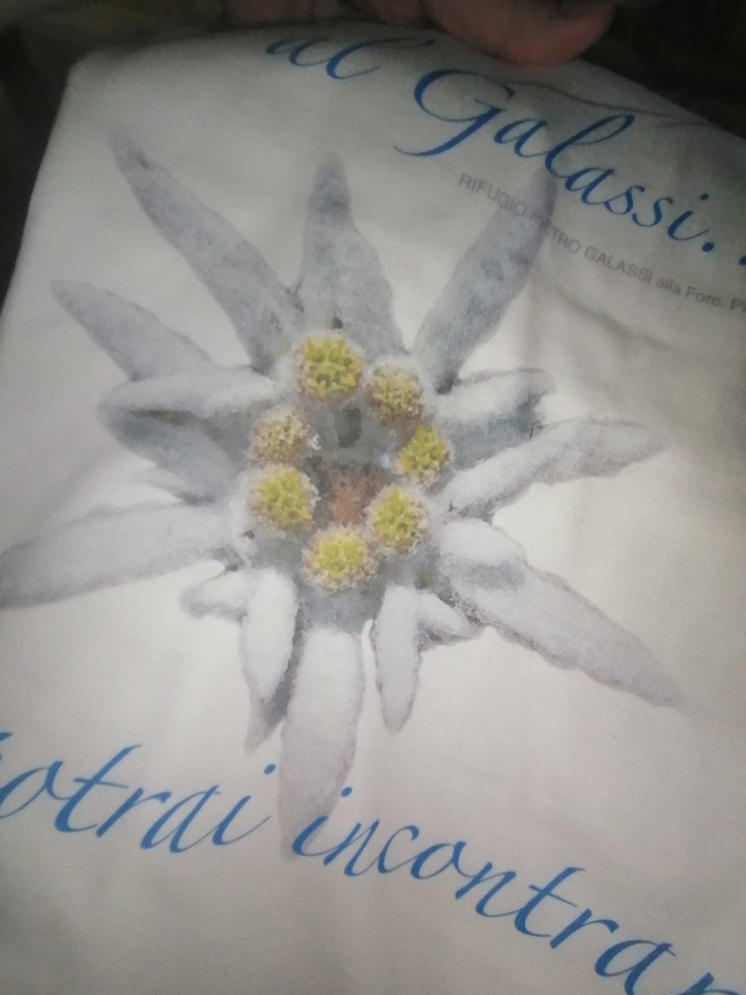 Szarotka Alpy Dolomity L/XL nowy T-shirt ze schroniska Galassi Włochy