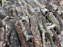 TUBOS DE CORTIÇA NATURAL PARA TERRÁRIOS – 4,20€/kg | Monte Abraão