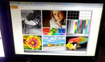 Монитор NEC MultiSync E222W 22"