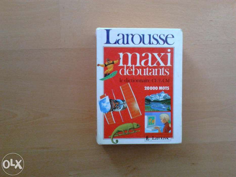 Dicionário Larousse Maxi