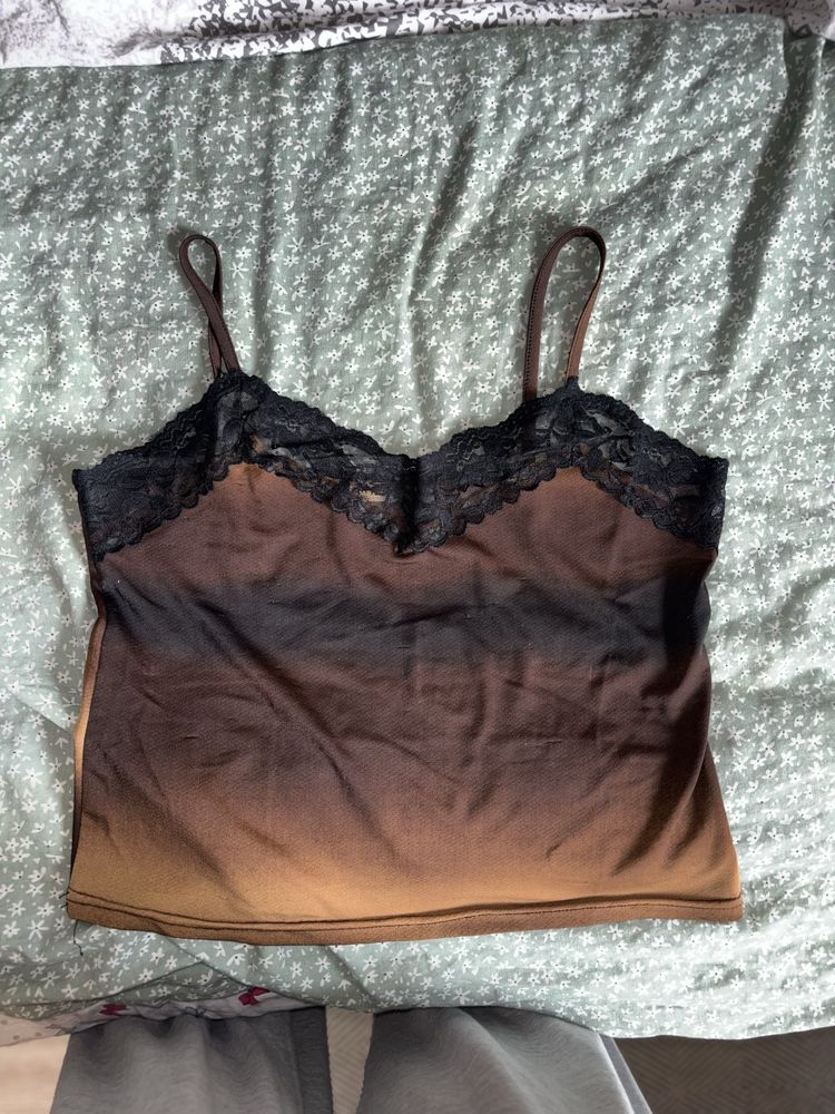 Top Holly