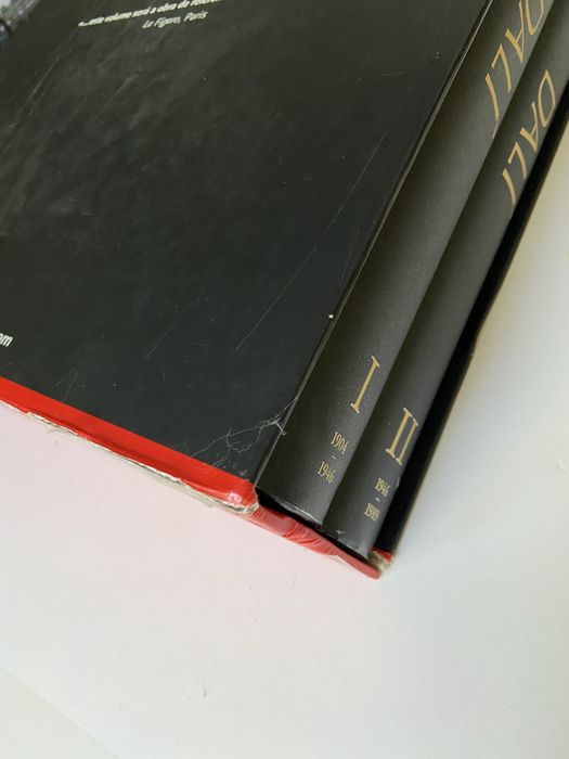 Dali - a obra pintada