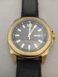 Zegarek męski Timex TW2U82100