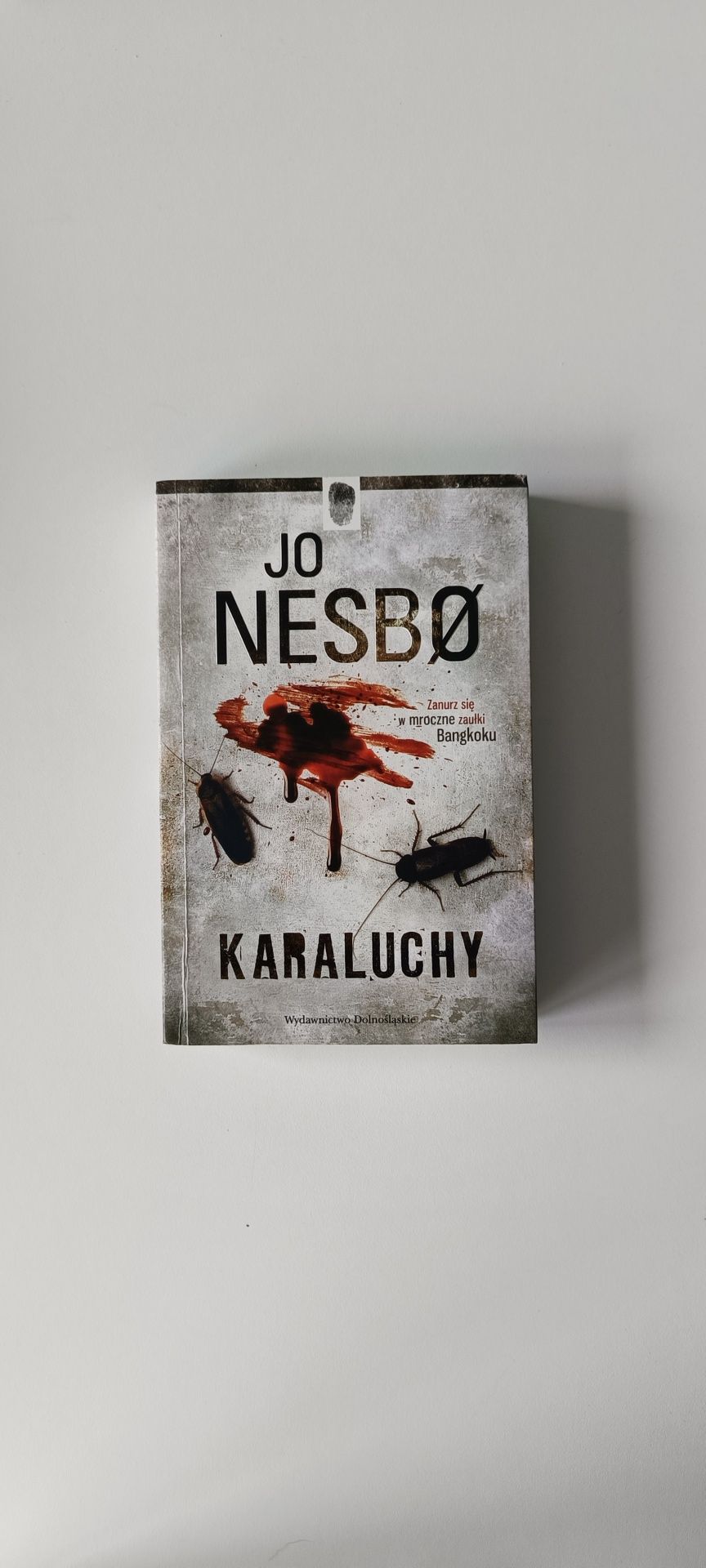 Jo Nesbo książka Karaluchy kryminał thriller seria Harry Home