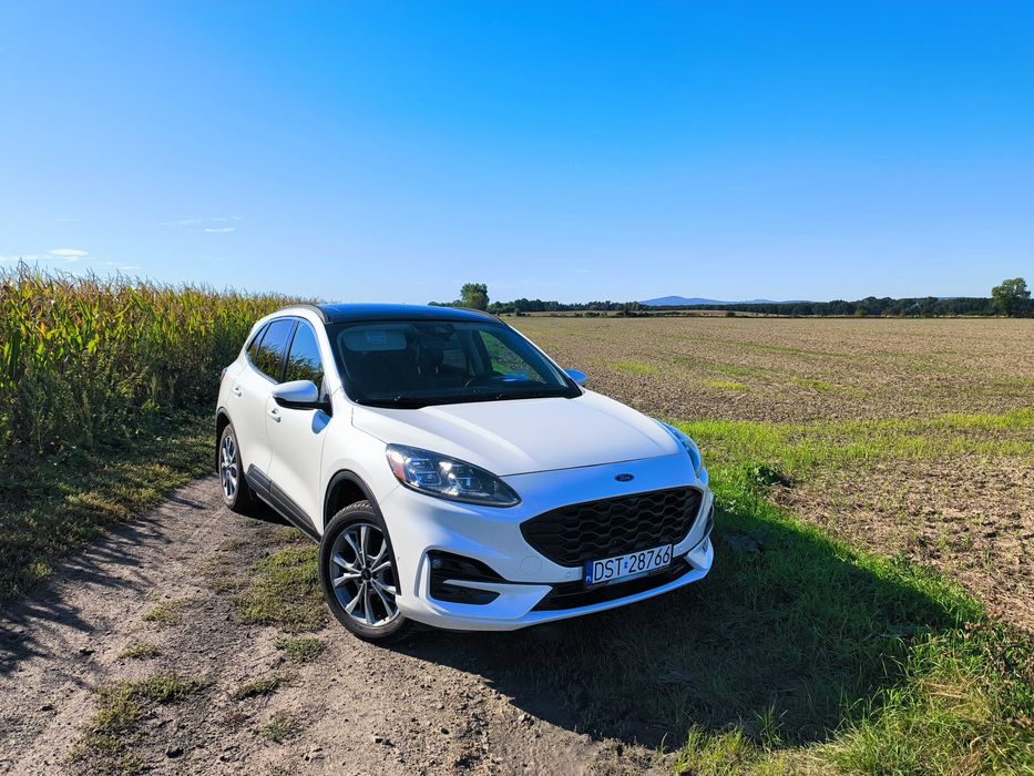 Escape/Kuga 2020r 2.5l FHEV TITANIUM ST-line, panorama, 12PDC, 2kamery
