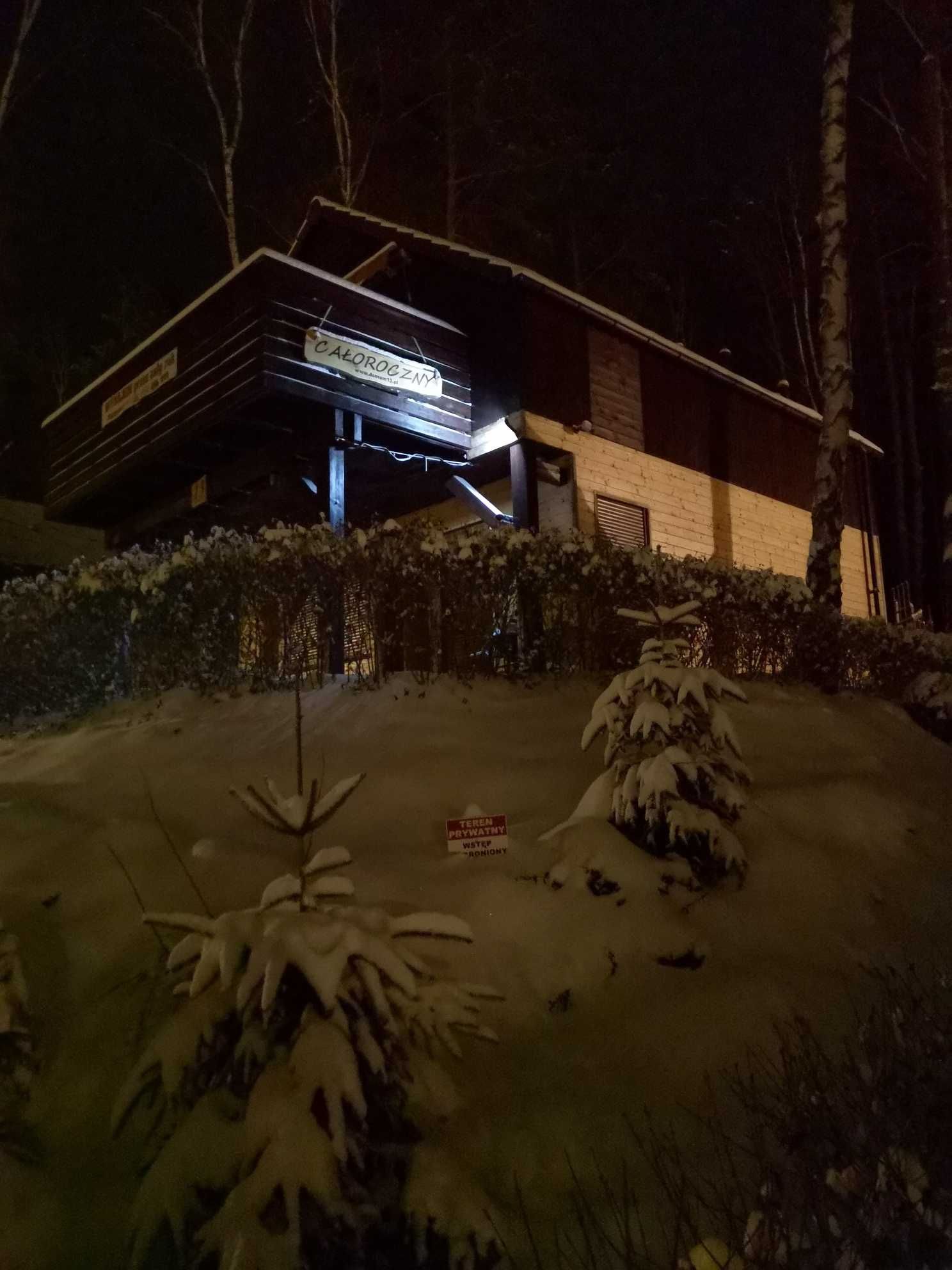 Wypoczynek w lesie nad jeziorem.