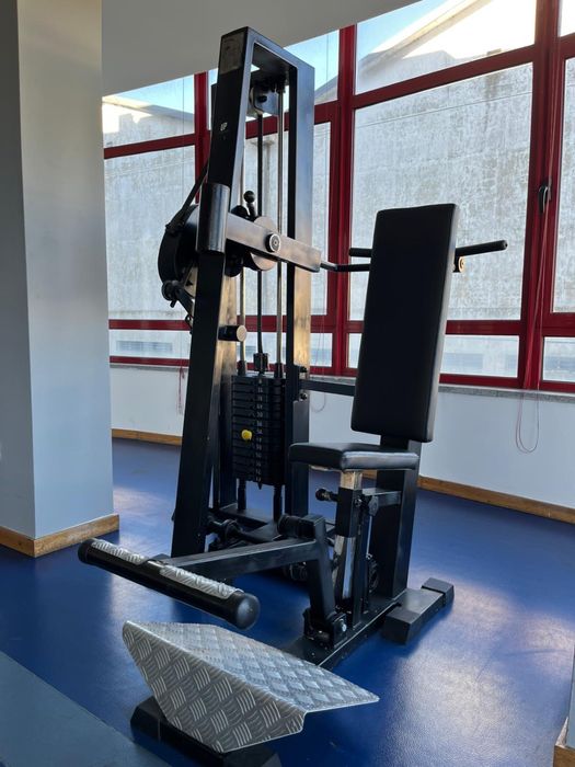 Máquina de Tricep (Frances)