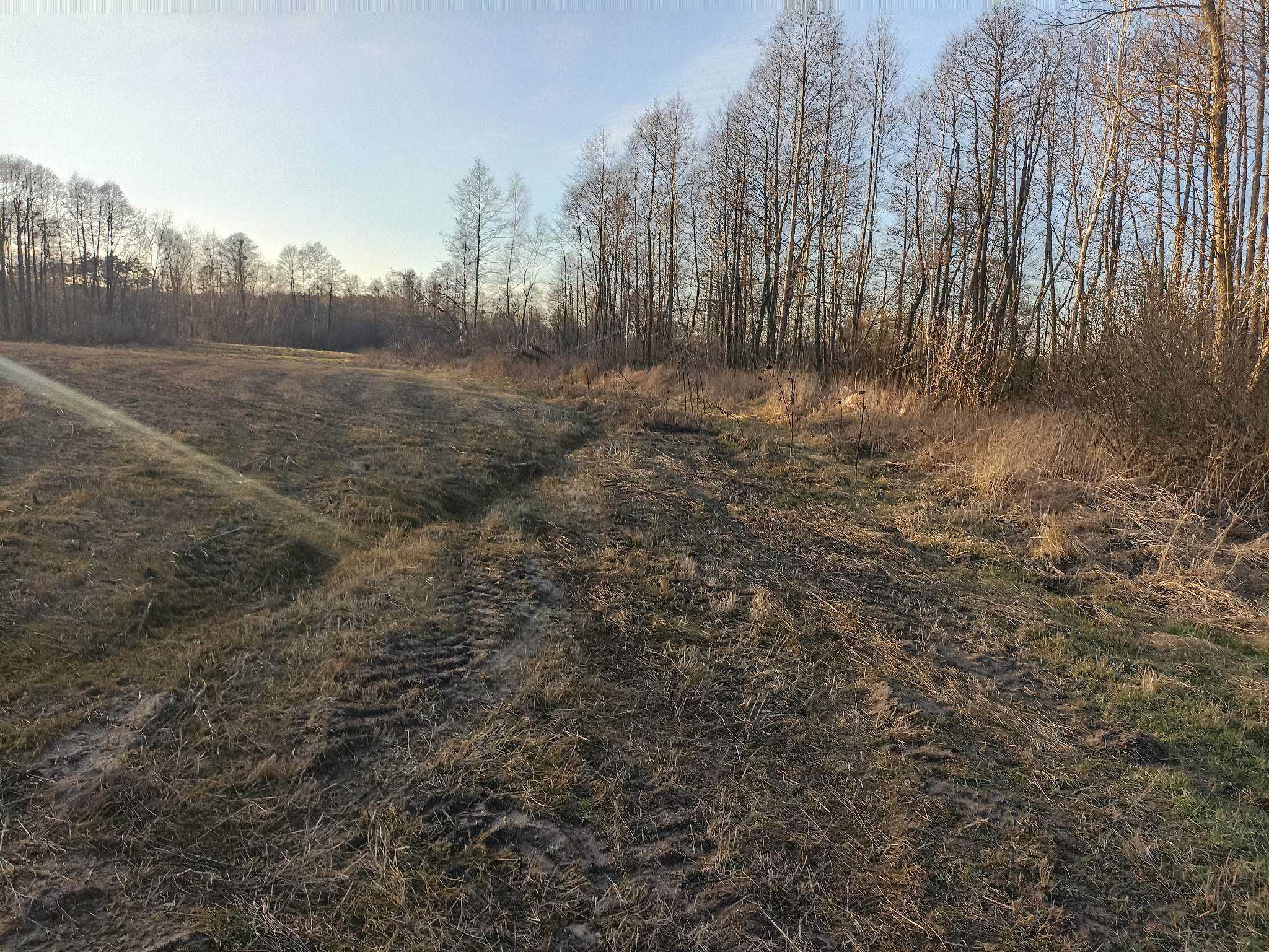Działka 7,31 ha z lasem, blisko jezior Pojezierza Dobrzyńskiego