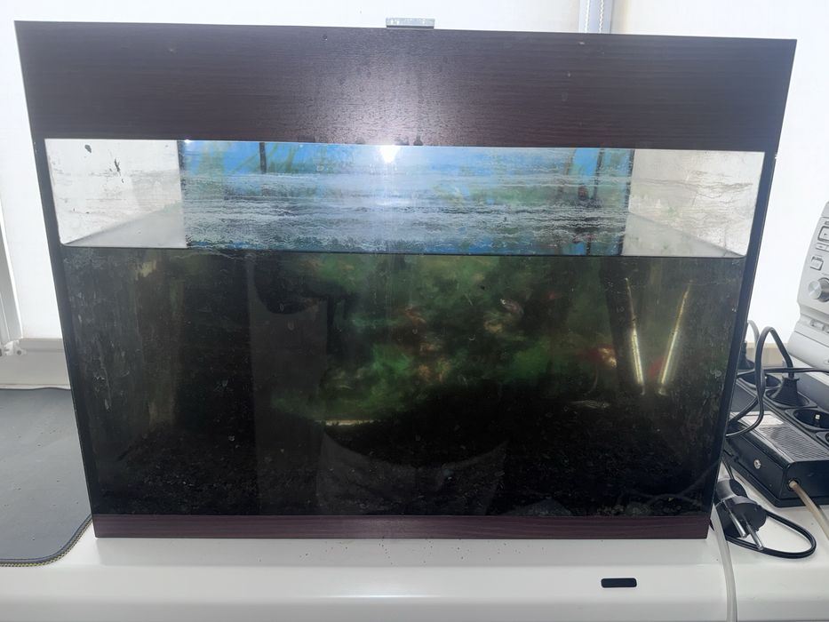 СРОЧНО! Продам АКВАРИУМ со всеми комплектующими и рыбками!