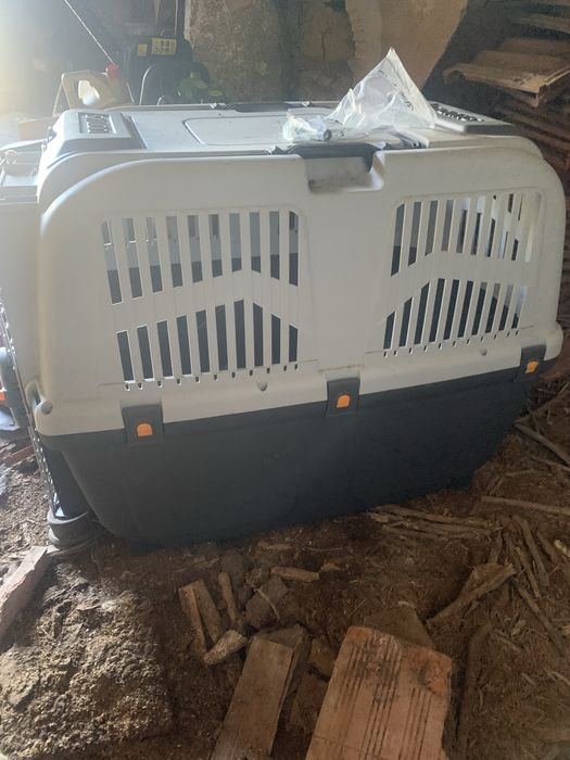 Box de transportar caes